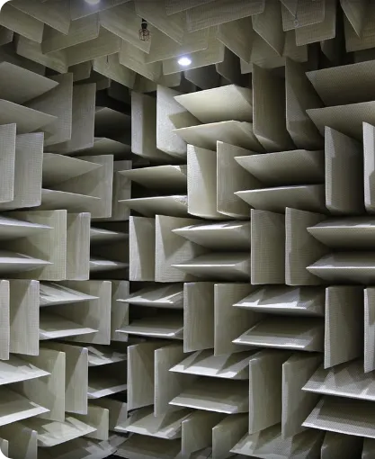 日中ハイブリッド検査体制